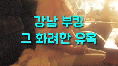 강남H2O나이트: 대한민국 최고의 부킹을 위한 핫플레이스